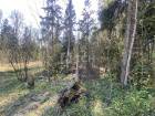 Земельный участок, г.о. Пушкинский, деревня Могильцы, #id2149375