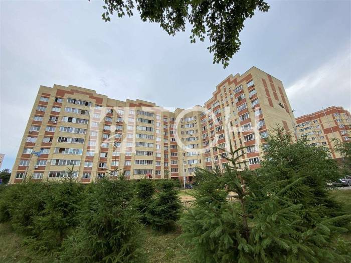 3-комн. квартира, Фрязино, ул Дудкина, 9 #id282129