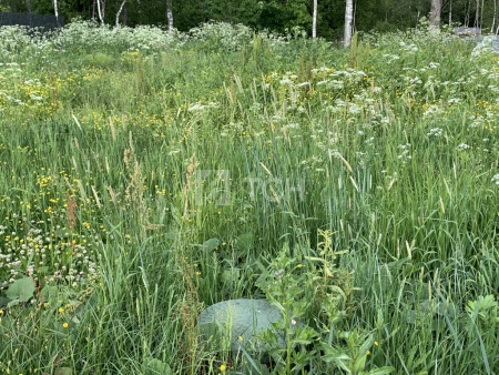 Земельный участок, Дмитровский г.о., коттеджный посёлок Медовое, улица Братьев Политовых, #id1229032