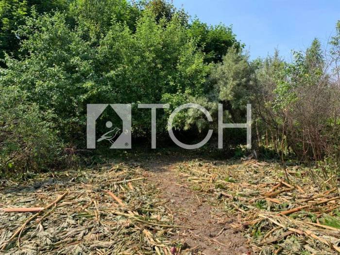 Участок, Пушкинский, ул Центральная #id285470