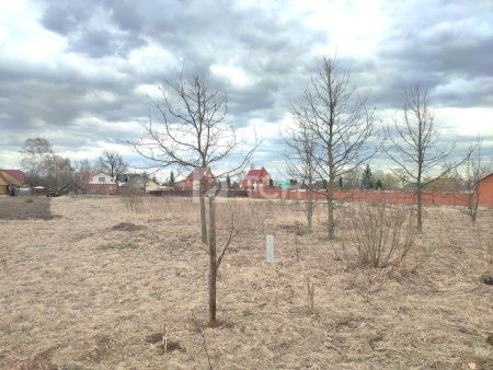 Земельный участок, Богородский г.о., деревня Большое Буньково, Цветочная улица, #id1552746