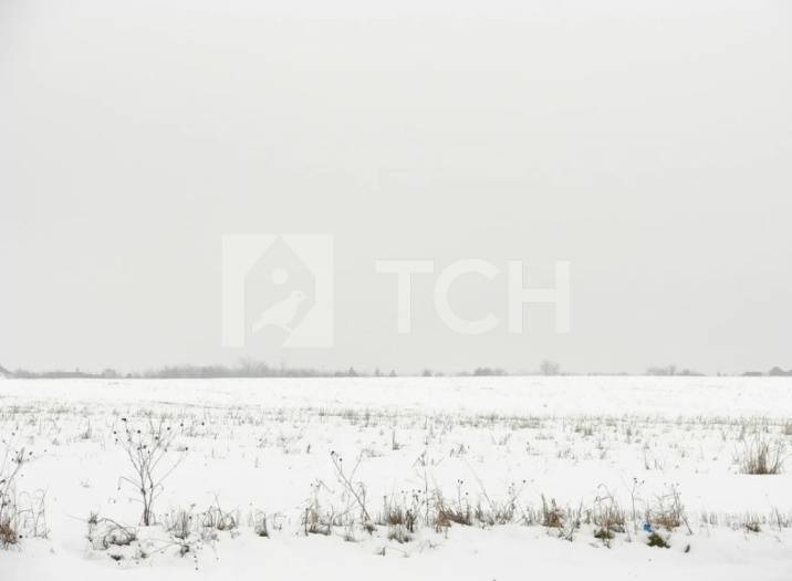 Земельный участок, Раменский г.о., деревня Фенино, #id637915