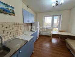 1-комн. квартира, посёлок Аничково, 8, #id2384600