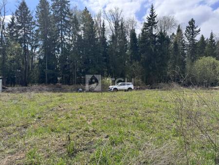 Земельный участок, г.о. Пушкинский, деревня Могильцы, Лесная улица, #id1577372