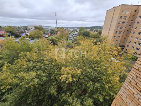 2-комн. квартира, Пушкино, Пушкинское шоссе, 8, #id1792538