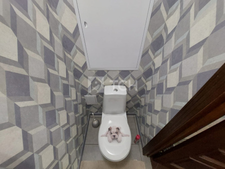 Дом, г.о. Пушкинский, садовое товарищество Клюковка-1, #id1036919