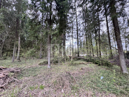 Земельный участок, г.о. Пушкинский, деревня Могильцы, #id1582164