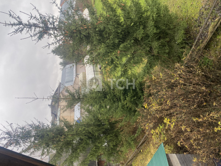 Земельный участок, г.о. Пушкинский, деревня Степаньково, Лесная улица, 66А, #id1041922