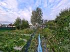 Земельный участок, г.о. Пушкинский, садовое товарищество Яхрома-1, 49, #id358818