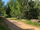 Земельный участок, г.о. Пушкинский, садовое товарищество Астра, #id360319