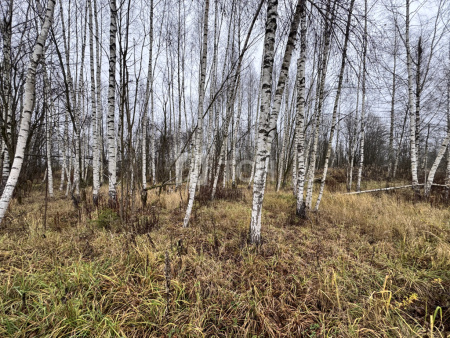 Земельный участок, Сергиево-Посадский г.о., Сергиев Посад, Суворицкая улица, #id1913831