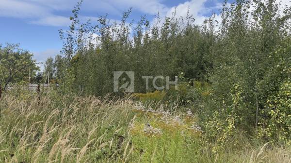 Земельный участок, Богородский г.о., село Воскресенское, 71, #id2337914