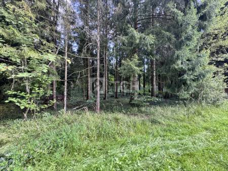 Земельный участок, г.о. Пушкинский, деревня Могильцы, #id1906960