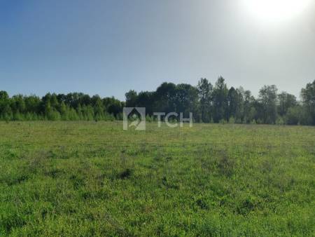 Земельный участок, Владимирская область, Киржачский район, деревня Офушино, #id1381471