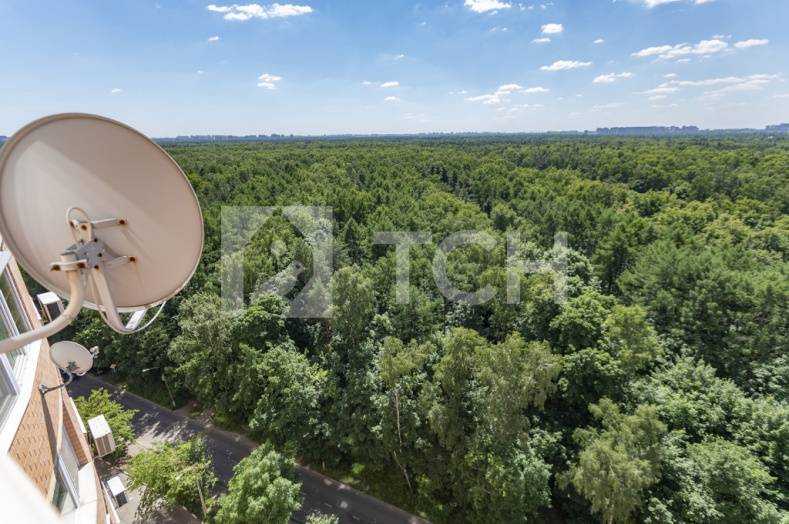 3-комн. Квартира, Балашиха, улица Евстафьева, 3, #id395944