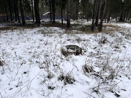 Земельный участок, г.о. Пушкинский, деревня Могильцы, #id1982786