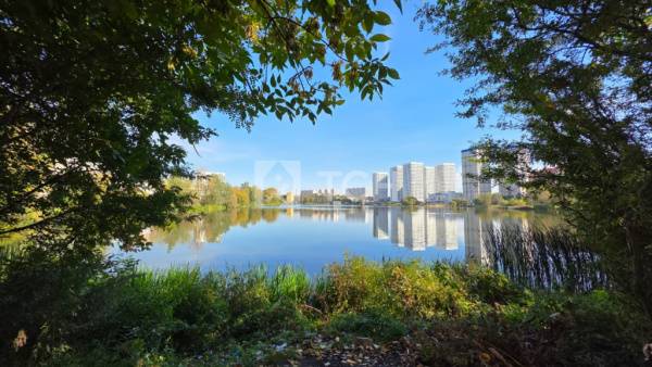 2-комн. квартира, Пушкино, Московский проспект, 57к4, #id1792597