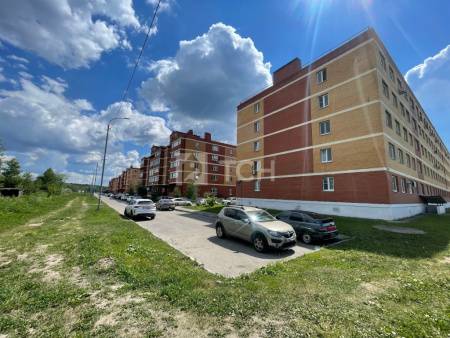 1-комн. квартира, деревня Большие Жеребцы, 1к1, #id2199690