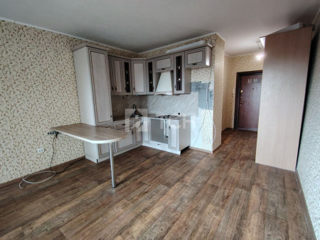 Квартира-студия, деревня Павлино, 67, #id1655066