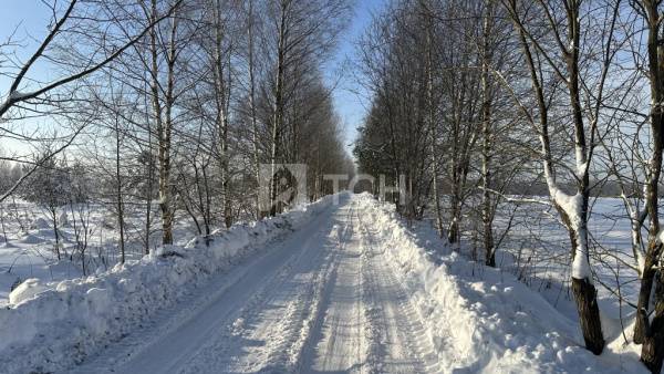 Земельный участок, Богородский г.о., #id2003410