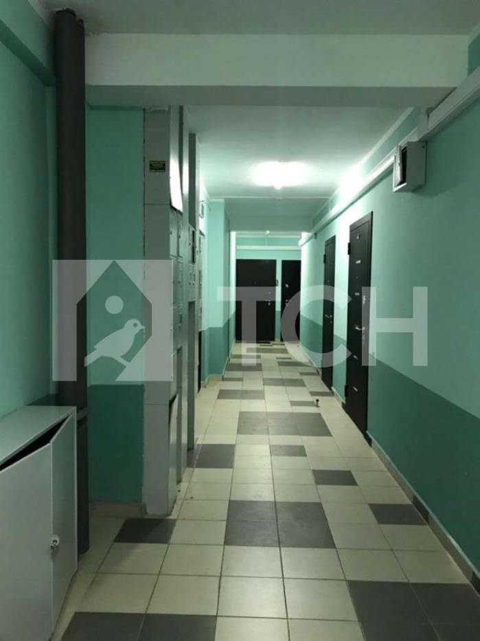 Квартира-студия, Старая Купавна, улица Чехова, 4, #id360429