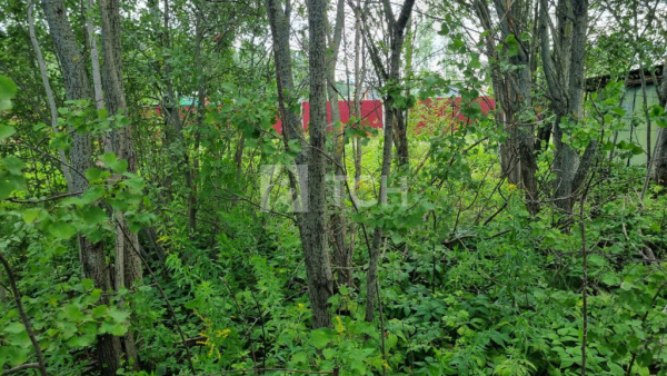 Земельный участок, г.о. Пушкинский, посёлок Лесные Поляны, #id1729035