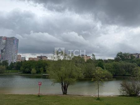 3-комн. квартира, Москва, улица Удальцова, 4, #id1608788