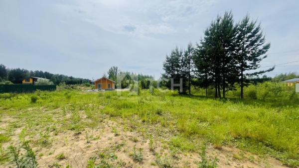 Земельный участок, г.о. Лосино-Петровский, деревня Митянино, Березовая улица, #id1403692