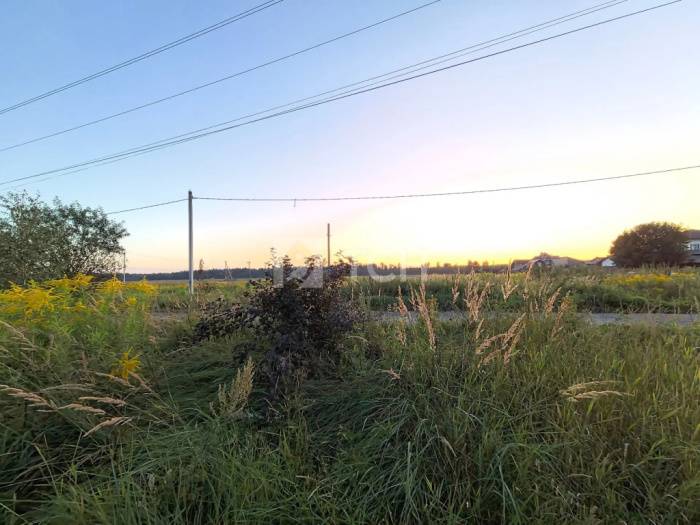 Земельный участок, Богородский г.о., село Бисерово, Новая улица, #id2337845