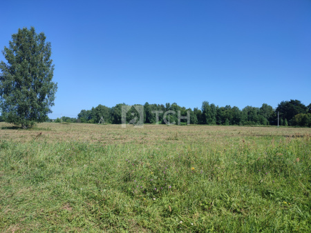 Земельный участок, Богородский г.о., деревня Бездедово, 558, #id1742897