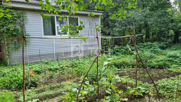 Дом, г.о. Королёв, Королёв, Заводская улица, 2, #id772485