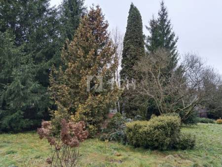 Земельный участок, Троицкий административный округ, деревня Чириково, улица 1-й Автопарк, 2, #id1867672