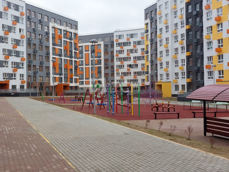 Квартира-студия, деревня Глухово, Романовская улица, 5, #id976393