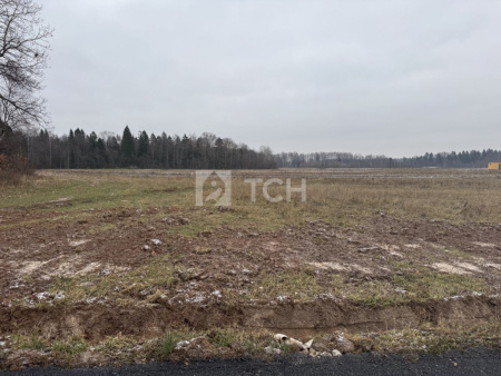 Земельный участок, г.о. Пушкинский, СНТ Черничка, 71, #id1314489