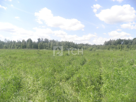 Земельный участок, Можайский муниципальный округ, деревня Петраково, #id1494884