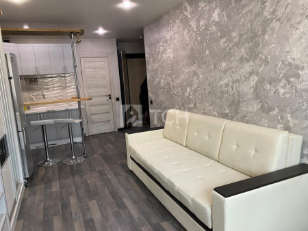 Квартира-студия, деревня Большие Жеребцы, 1к1, #id1540992