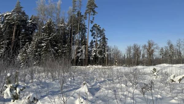 Земельный участок, г.о. Лосино-Петровский, деревня Митянино, Любимая улица, #id2003831