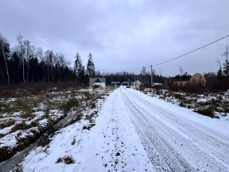 Земельный участок, г.о. Пушкинский, деревня Могильцы, #id1982926