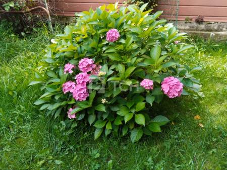 Дом, Троицкий административный округ, деревня Чириково, улица 1-й Автопарк, 2, #id1760731