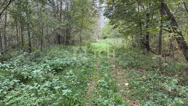 Земельный участок, г.о. Лосино-Петровский, деревня Корпуса, Берёзовая улица, 75, #id1796009