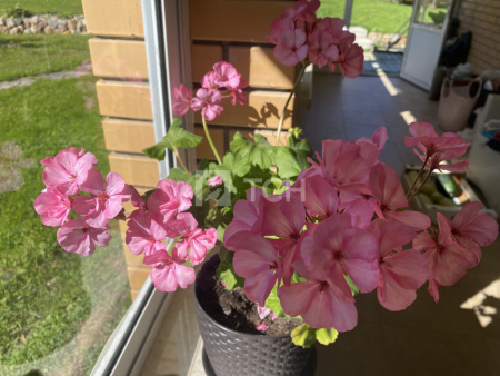 Дом, Сергиево-Посадский г.о., деревня Слабнево, #id1210671