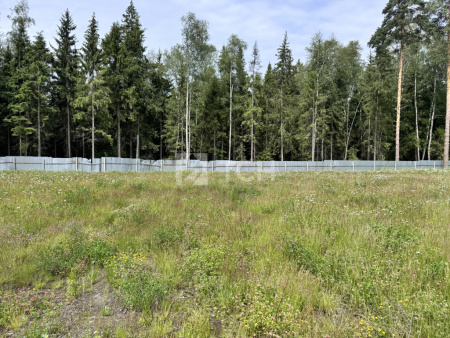 Земельный участок, г.о. Пушкинский, деревня Могильцы, #id1651365