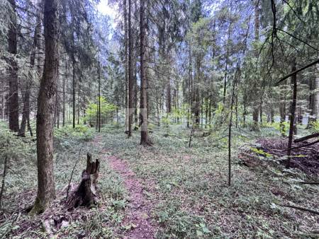 Земельный участок, г.о. Пушкинский, деревня Могильцы, #id1906960