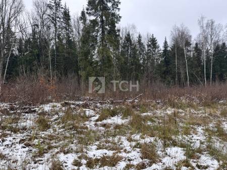 Земельный участок, г.о. Пушкинский, деревня Могильцы, #id1982926