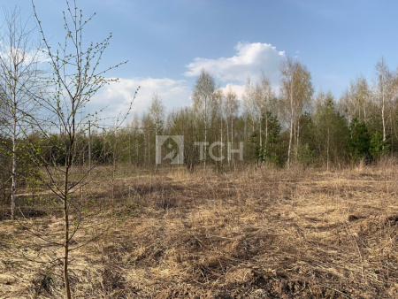 Земельный участок, г.о. Щёлково, деревня Вторая Алексеевка, Заповедная улица, #id1349599