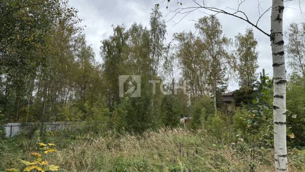 Земельный участок, г.о. Лосино-Петровский, деревня Корпуса, Берёзовая улица, 75, #id1796009