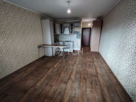 Квартира-студия, деревня Павлино, 67, #id1655066