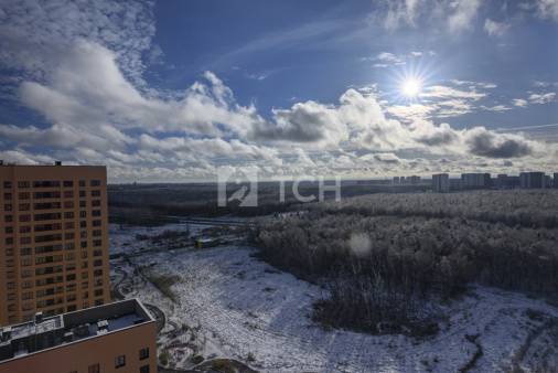 1-комн. квартира, улица Картмазовские Пруды, 2к1, #id1917166