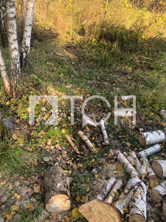 Участок, Пушкинский #id285835