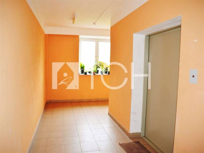 1-комн. квартира, Софрино, ул Заводская, 20 #id266958